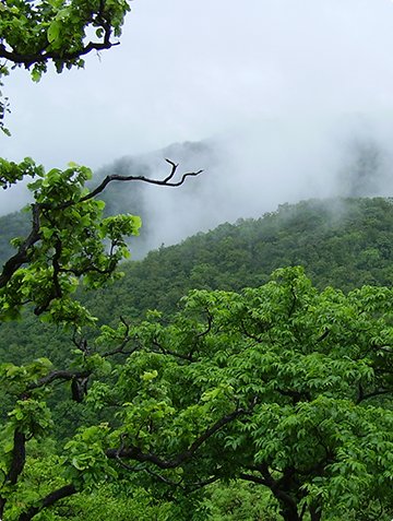 Nature Tour