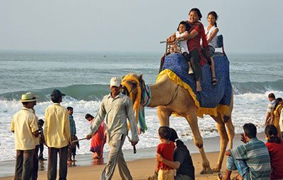 camel-rides-puri